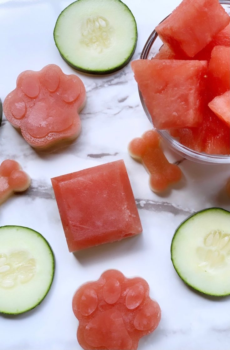 frozen watermelon and mint dog treats