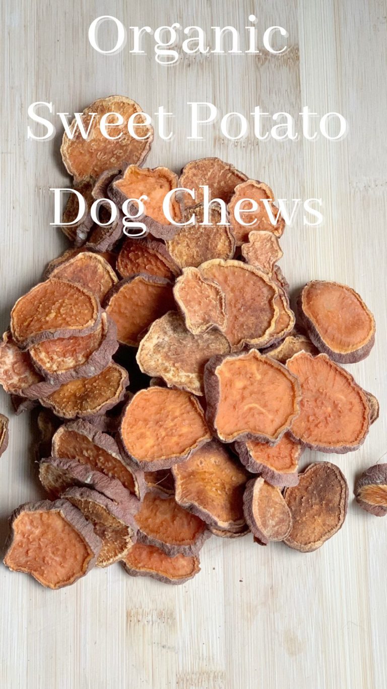 Homemade Organic Sweet Potato Dog Chews