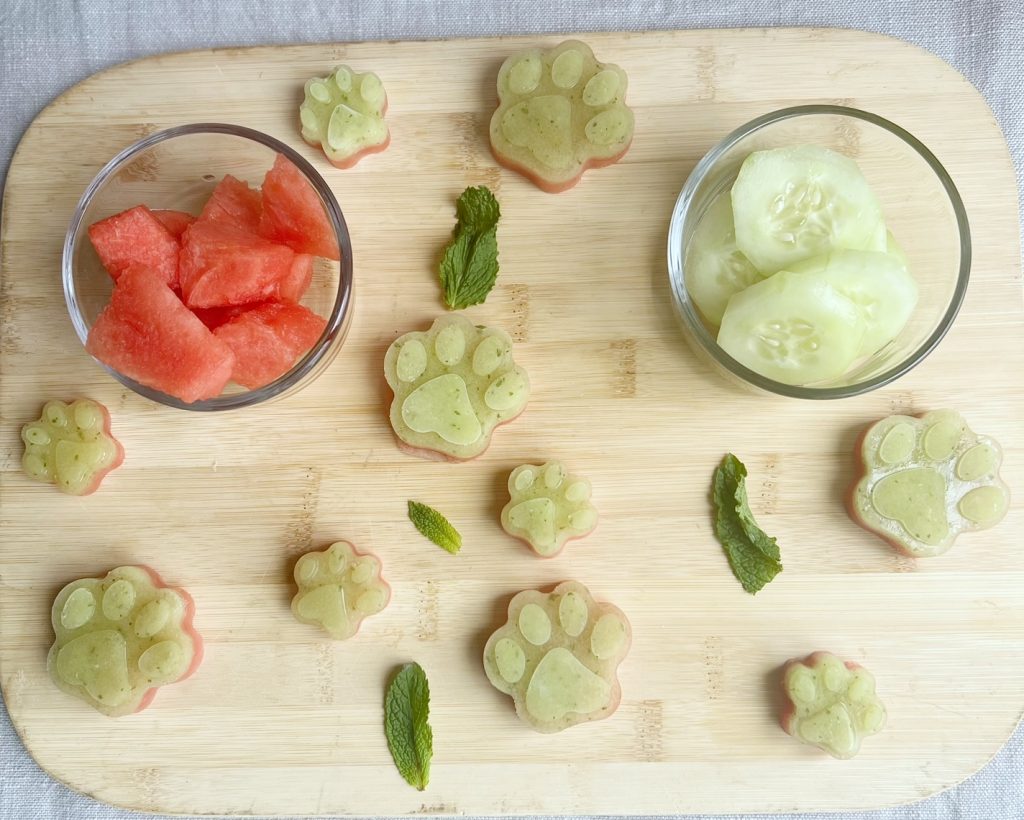 frozen dogs treats with watermelon, cucumber and mint