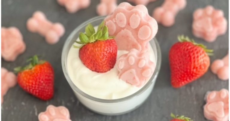 Strawberry Yogurt Dog Treats