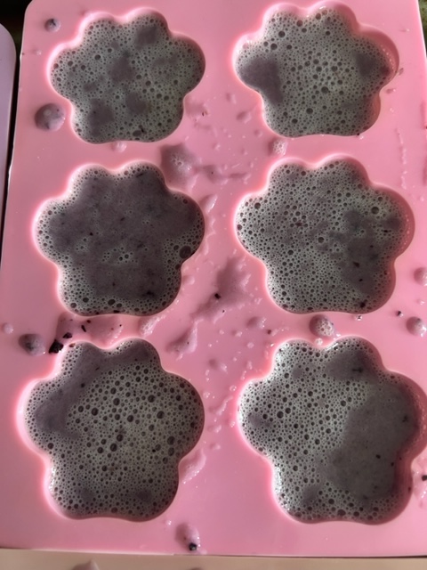 homemade gelatin dog treats in silicone mold