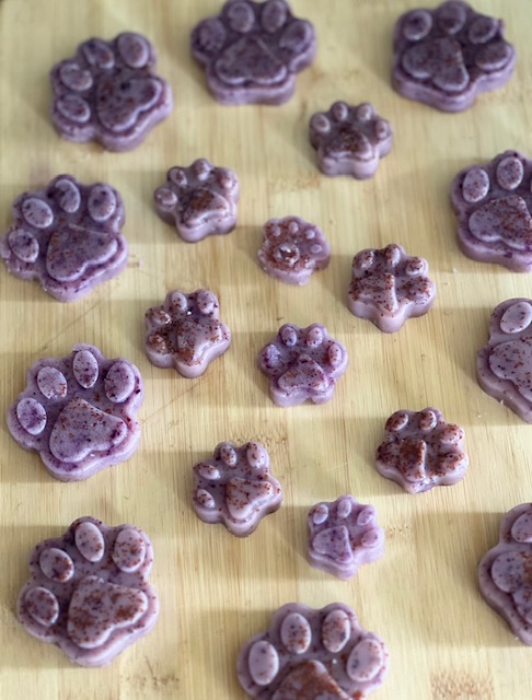 blueberry jello for dogs
