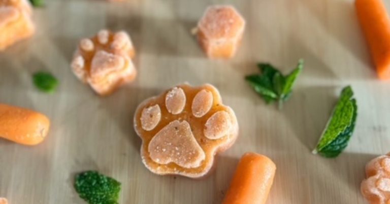 Frozen Apple & Carrot Dog Treats